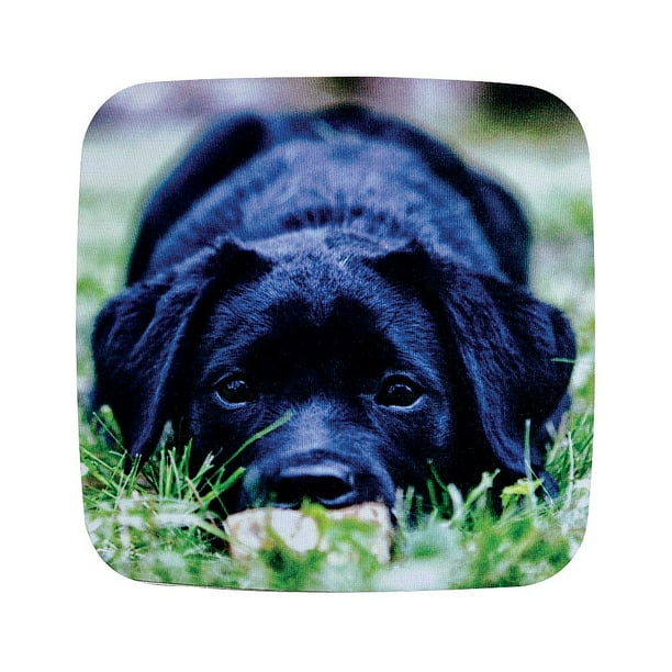 Mastiff Big Dog Computer Office Desk PC Laptop Gaming Optic Mouse Pad MOUSEPAD Mastiff Big Dog Computer Office Desk PC Laptop Gaming Optic Mouse Pad MOUSEPAD